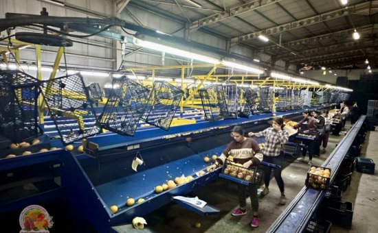 Muğla Ortaca Ormes Koop