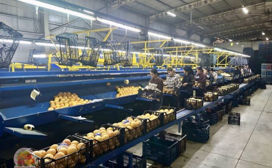 Muğla Ortaca Ormes Koop