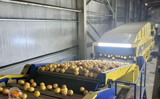 Muğla Ortaca Ormes Koop - Photo Gallery