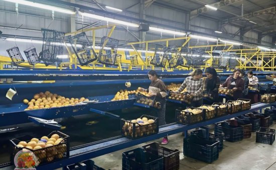 Muğla Ortaca Ormes Koop - Photo Gallery