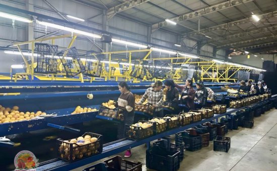 Muğla Ortaca Ormes Koop - Photo Gallery